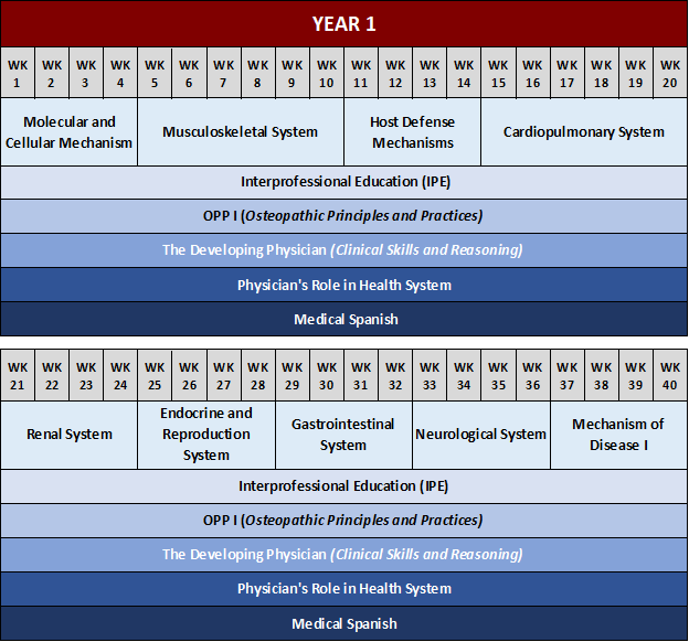 Curriculum – College of Osteopathic Medicine