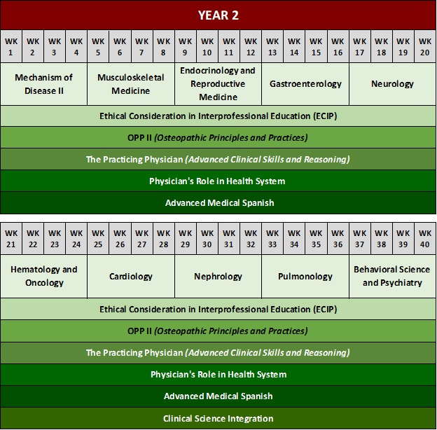 Curriculum – College of Osteopathic Medicine