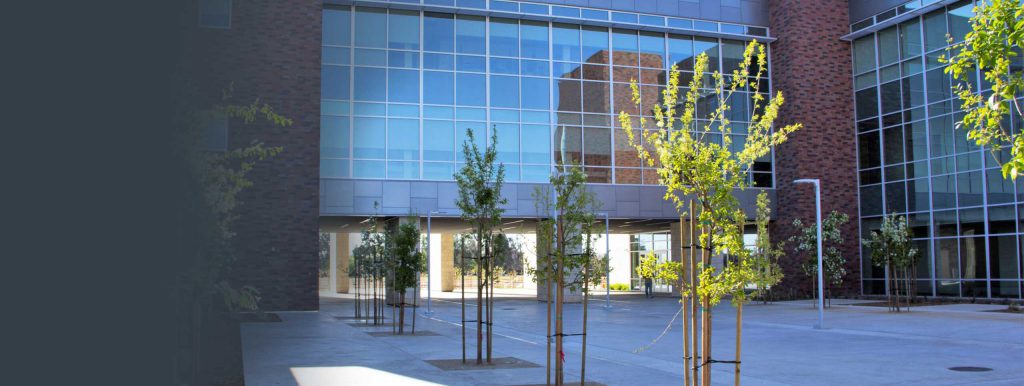 Ccom Curriculum – College of Osteopathic Medicine