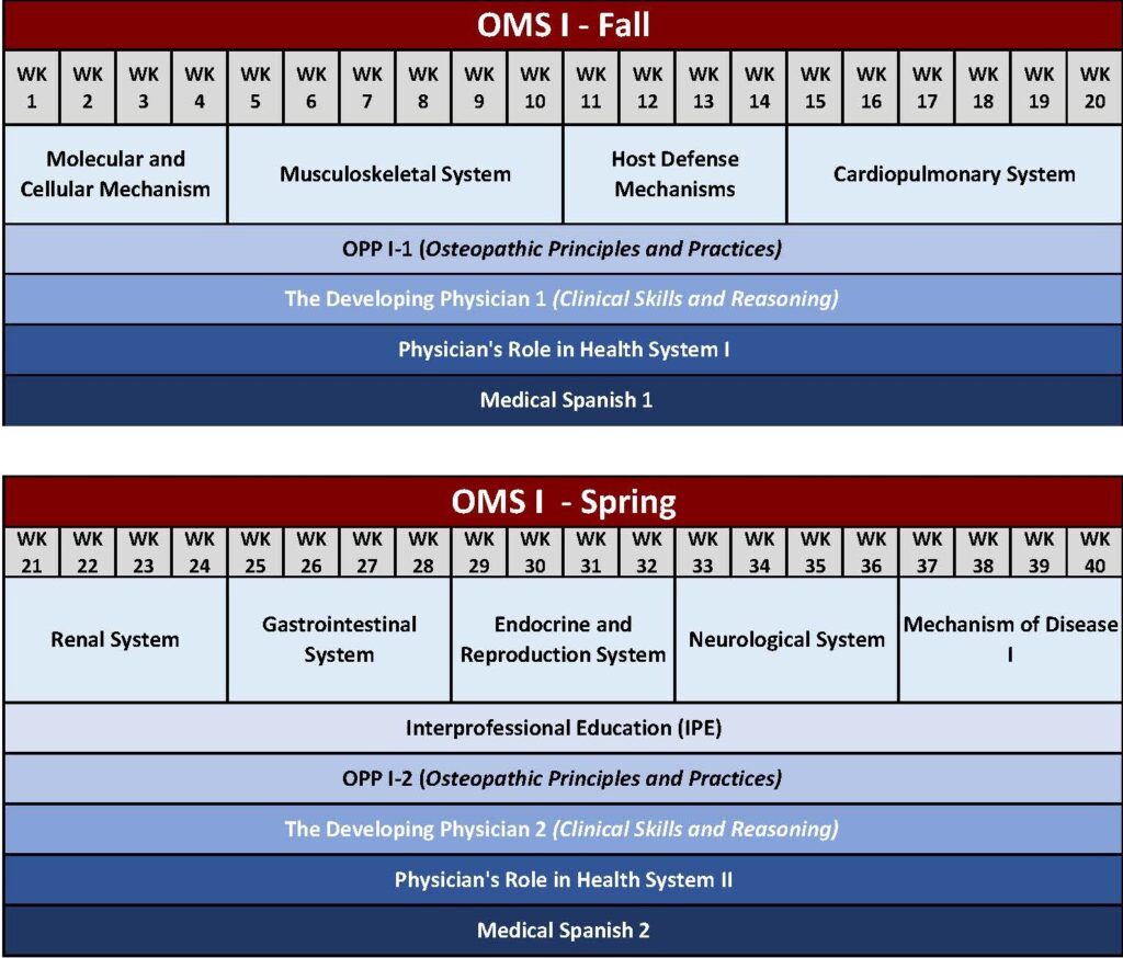 First-year curriculum example
