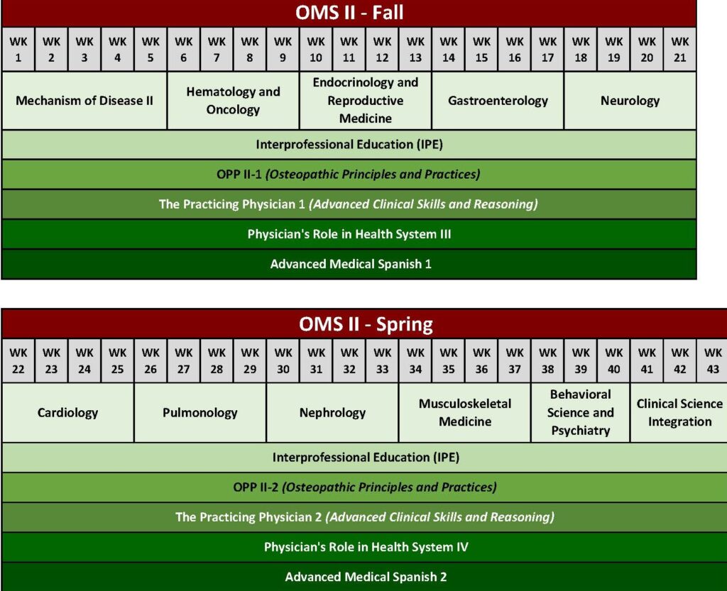 Second-year curriculum example