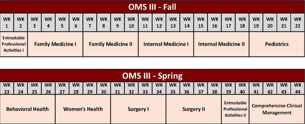 Third-year curriculum example