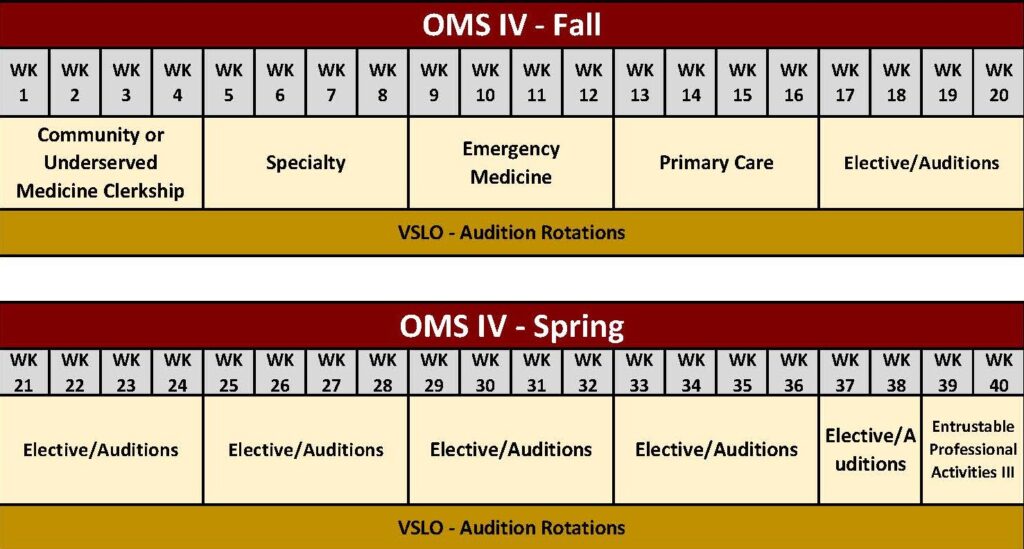 Fourth-year curriculum example