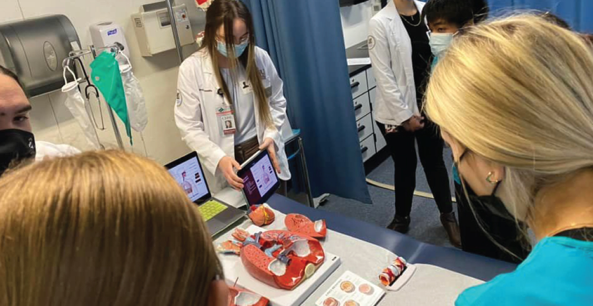 Students examining lung model Students examining lung model during a lesson on air quality