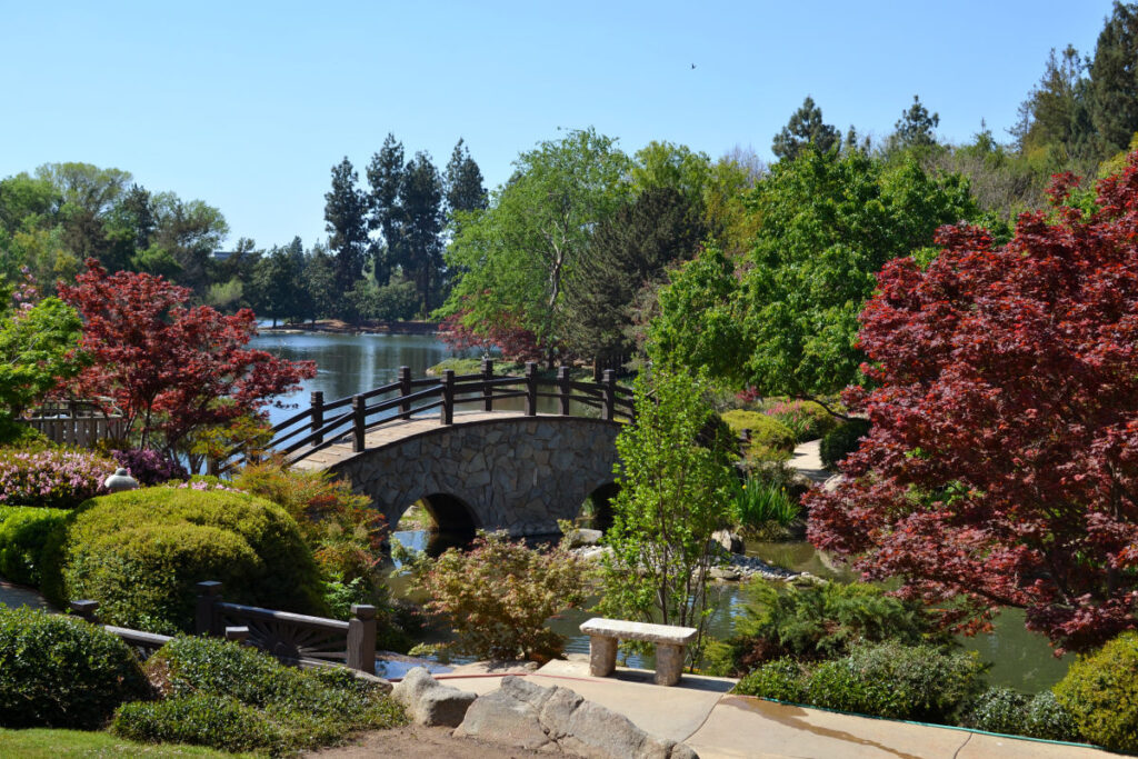 Shinzen Friendship Garden at Woodward park iconic moon bridge with pond and trees in foreground and lake in background